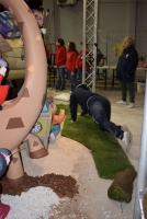 180314-15_planta_inf (90)