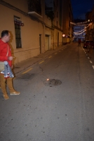 180314_recogida_ninot_inf_web (15)