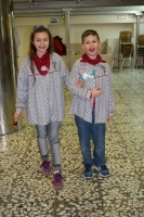 180314_recogida_ninot_inf_web (28)