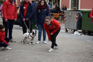 180319_canut (46)