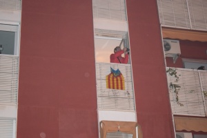 180319_crema_falla_grande_web (43)
