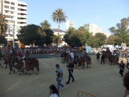 180729_batalla_de_flores (25)