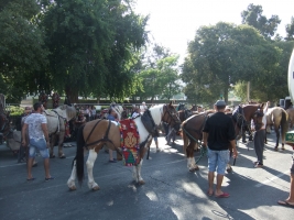 180729_batalla_de_flores (5)