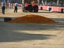 180729_batalla_de_flores (8)