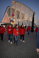 190315_recogida_ninot_FM_web_ (25)