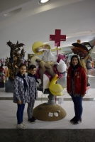190315_recogida_ninot_FM_web_ (9)