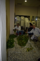 190501_cruz_mayo_web (21)