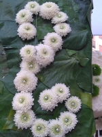 IMG-20190503-WA0003