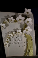 190615_verbena_san_juan_eleccion_FFMM_2020_web_ (0)